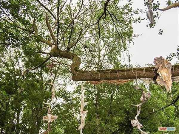 09 kunst en bomen web