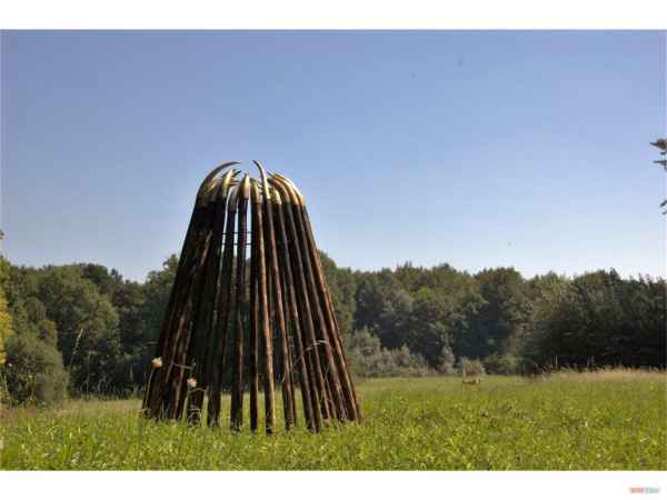 10 shelter of hope i