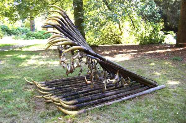 2024 hornfall site 2